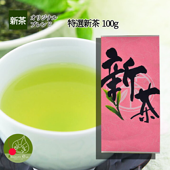 【2023年6月上旬発送・先行予約】日本茶 送料無料 特選 新茶 100g 2023年 全国の新茶から厳選した特選新茶 当店オリジナルだから安くてうまい 若い茶の香りと豊かな味わい 緑茶園特選 メール便送料無料 日本茶 ギフト 大切な贈り物 エピガロカテキンガレート