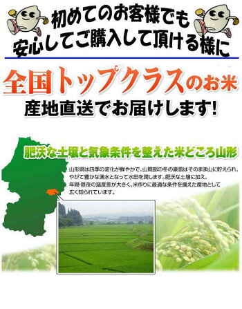 はえぬき7