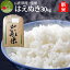 ＼只今、お届け中!／ 山形県産 はえぬき 玄米 30kg 送料無料 令和5年産 特A米 一等米 ギフト 新生活応援 産地直送 のし プレゼント 通販 ブランド米 東北 景品 入学祝い お返し 進学 就職祝い 内祝い