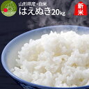 【令和2年産 新米 】山形県産 はえぬき 白米 20kg(5kg×4袋) 令和2年産 一等米 精米 ギフト 新生活応援 産地直送 のし プレゼント おにぎらず 代表米 お土産 通販 ブランド米 東北 送料無料 内祝い