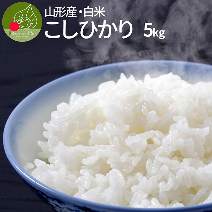 【令和5年産】こしひかり 白米 5kg 山形県産 令和5年産 精米 一等米 ギフト 新生活応援 産地直送 通販 ブランド米送料無料 内祝い