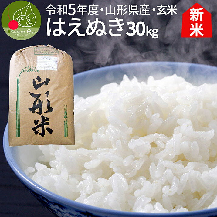 ＼只今、お届け中!／ 山形県産 はえぬき 玄米 30kg 送料無料 令和5年産 特A米 一等米 ギフト 新生活応援 産地直送 のし プレゼント 通販 ブランド米 東北 入学祝い お返し 進学 就職祝い 内祝い