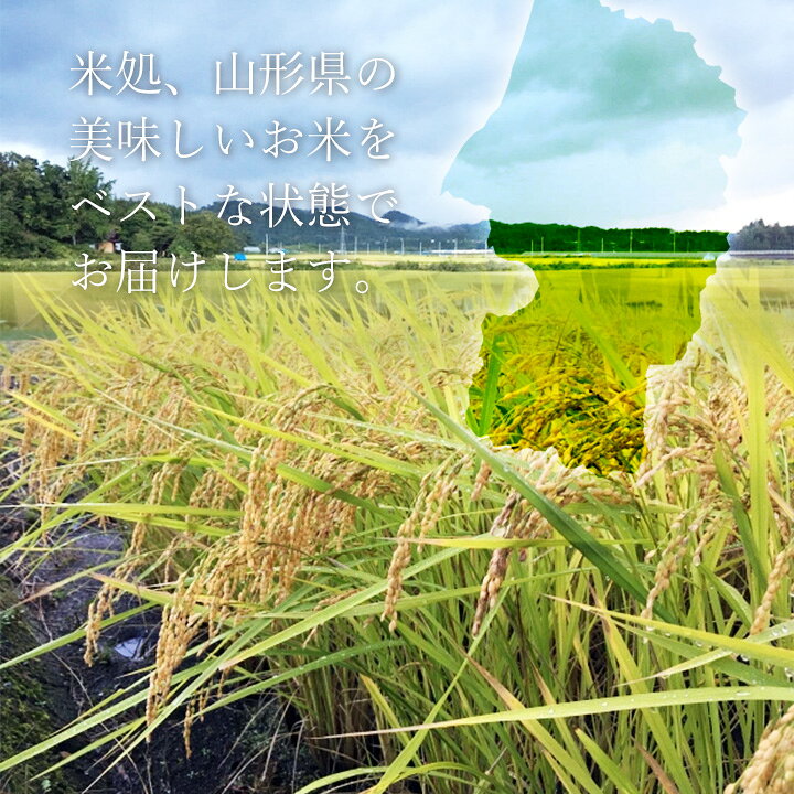 令和7年産 新米！ 山形県産の特別栽培米、はえぬき、こしひかり、ミルキークイーン、雪若丸、つや姫、どまんなか、ひとめぼれ、さちわたし、夢ごこちのギフトボックスです。　＼只今、お届け中／ お米 ギフト つや姫 はえぬき こしひかり ミルキークイーン 雪若丸 どまんなか ひとめぼれ さちわたし 夢ごこち 食べ比べ セット 山形県産 贈答用 特A米 精米 入学祝い お返し 送料無料 お歳暮 ご年始