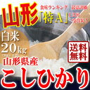 ★平成25年産★【連続「特A」受賞・山形産こしひかり白米】【送料無料】山形産こしひかり白米20kg!魚沼産コシヒカリと同じ食味ランキング特Aのお米!米処の山形から特A米!【あす楽対応】