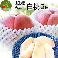 【2024年8月中旬発送・先行早割】 山形県産 白桃 2kg（約7玉前後）クール便 産地直...