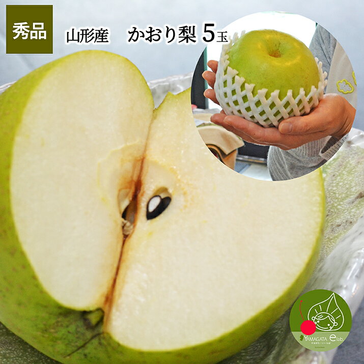 9月下旬発送 大玉 山形県産 香梨 5玉入り 幻の梨 贈答 数量限定の為、先着名様限定 かおりなし お彼岸 【送料無料】