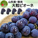 【2024年9月下旬発送・先行早割】 山形県産 お徳用 大粒ピオーネ 4房 約2kg (1房約500g) 産地直送 同梱不可　送料無料 果物 訳あり 誕生日 敬老の日