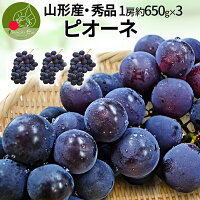 【2024年9月下旬発送・先行早割】 山形県産 秀品 大粒ピオーネ3房 約2kg（約650g×3...