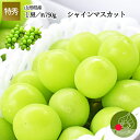 山形県産 特秀 シャインマスカット 2房(1房約750g前後...