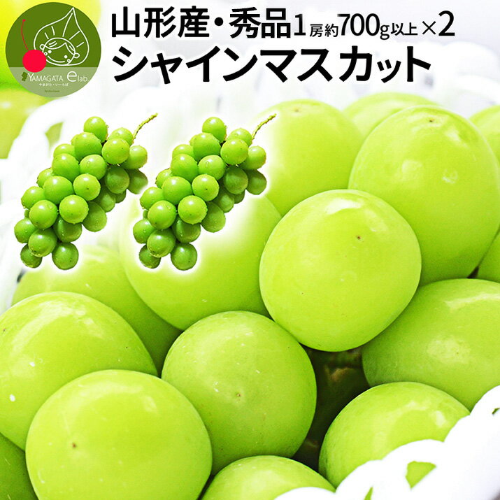 【2023年9月下旬発送・先行予約】シャインマスカット 秀品 2房（1房約700g以上）秀品 化粧箱入 産地直送 山形県産 お年賀 ギフト 同梱不可 熨斗OK 大粒 ギフト 送料無料 果物 誕生日