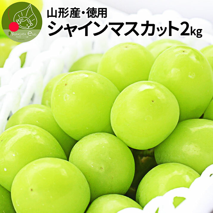 全国お取り寄せグルメ食品ランキング[ブドウ(31～60位)]第43位