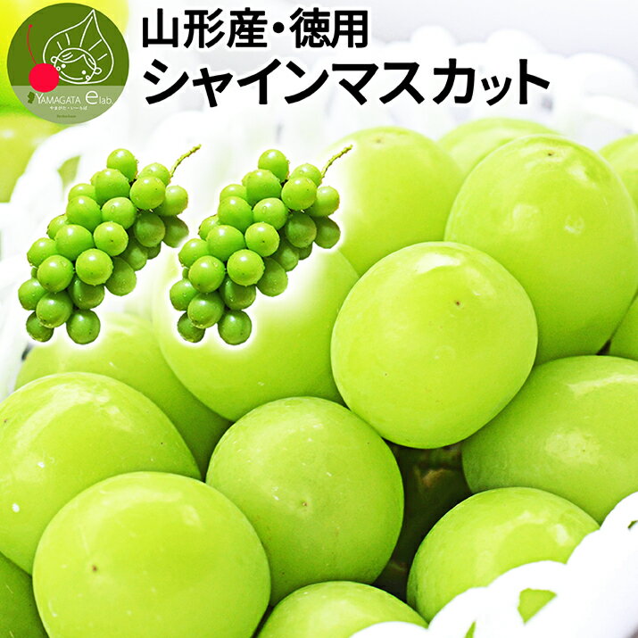 全国お取り寄せグルメ食品ランキング[ブドウ(31～60位)]第53位