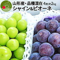  シャインマスカット ピオーネ 混載 約2kg入り 訳あり たっぷり 2kg 果物 山形県産 お徳用 産地直送 化粧箱詰め！同梱不可熨斗OK 送料無料 誕生日