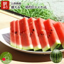 尾花沢 すいか 訳あり 6L 1玉(11kg以上) 山形県産...