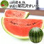 【2020年7月下旬発送・先行予約】 すいか 訳あり 4L 5L 1玉 (9kg以上) 山形県 尾花沢 すいか ワケあり ワケ待ち 産地直送 キャンプに 海水浴に スイカ割りに ブランド 【同梱不可】【日時指定不可】 健康 夏 暑さ対策 食べ物 果物