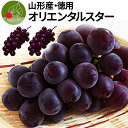 【9月下旬発送・先行早割】 オリエンタルスター 産地直送 2房(約1kg前後) 山形県産 お徳用 大粒 訳ありぶどう 山形県から産地直送 種無し 大粒 熨斗OK...