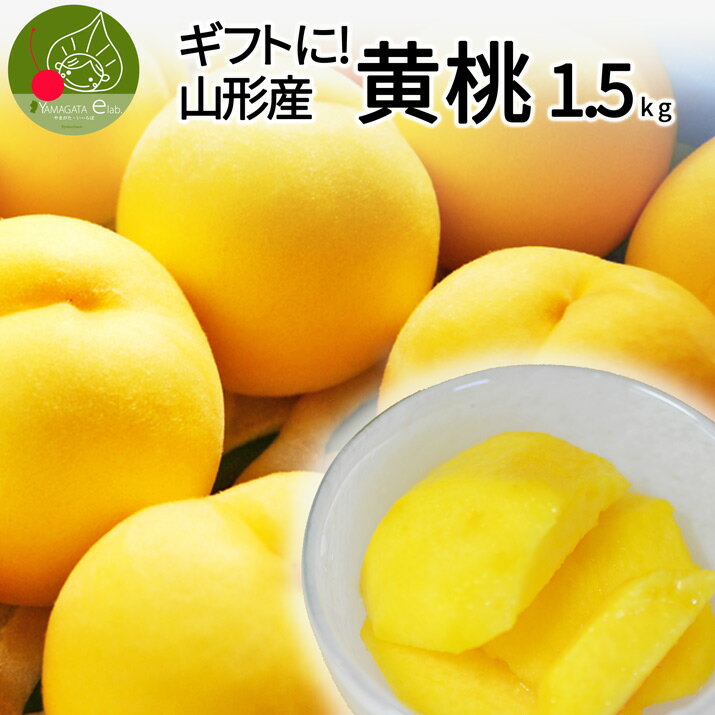 【2024年8月下旬発送・先行早割】 山形県産 黄桃 秀品 約1.5kg (6玉前後) クール便 敬老の日 ギフト 化粧箱入り 硬い…