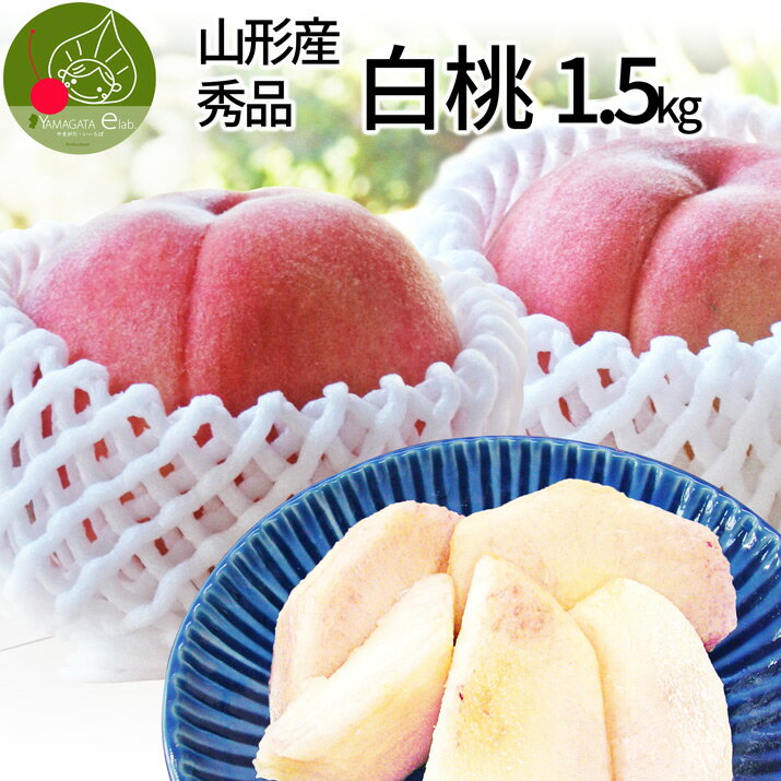 【2024年8月上旬発送 先行早割】 山形県産 白桃 秀品 約1.5kg (6玉前後) クール便 ！固い桃 や 柔らかい桃 を時期に応じてお届け 山形の美味しい桃 硬い桃 【品種指定不可】桃 送料無料 果物 フルーツ