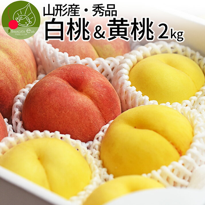 【2023年8月下旬発送 先行早割】 山形県産 白桃 & 黄桃 秀品 約2kg 5-9玉 詰め合わせ産地直送 あかつき お供え 川中島白桃 贈答用 贈り物 ギフト 硬い桃 美晴 黄桃 クール便 同梱不可 日時指定不可 送料無料 果物 フルーツ