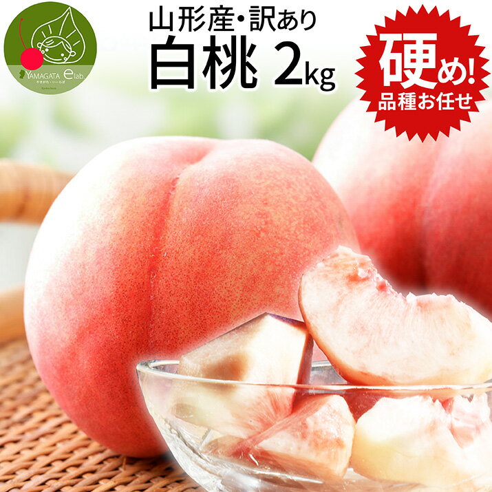 【2023年9月上旬発送】白桃 硬め 訳あり 品種おまかせ 山形産 2kg（6〜10玉前後） クール便 ！ちょっと訳あり桃 固い桃 を時期に応じてお届け 硬い桃 【品種指定不可】桃 送料無料 果物 フルーツ