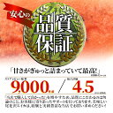 【2024年7月下旬発送・先行早割】 尾花沢 スイカ 訳あり 1玉 4L 5L（約9kg前後）山形県産 お徳用 ワケあり ワケ待ち 産地直送 キャンプに 海水浴に スイカ割りに ブランド 送料無料 同梱不可 日時指定不可 夏 暑さ対策 食べ物