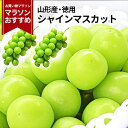 【2024年9月下旬発送開始】 シャインマスカット 産地直送 2～3房入り（約1kg前後） 山形県産 お徳用 大粒 訳ありぶどう 山形県から産地直送 種無し 大粒 送料無料 果物