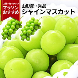 ぶどう 【2024年9月下旬発送開始】 シャインマスカット 2～3房入（約1.2kg前後） 山形県産 秀品 大粒 果物 化粧箱入 産地直送 山形県産 お年賀 ギフト 大粒 同梱不可 熨斗OK 送料無料 誕生日 残暑見舞い