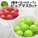 【10月上旬発送 先行予約】 ぶどう ピュアマスカット 約2種類 食べ比べ セット 4カップ入り シャインマスカット 雄宝 スカーレット 等 送料無料 山形県産...