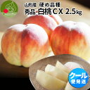 【9月下旬発送・先行早割】 硬い桃 白桃 秀品 白桃CX 2.5kg 山形県産 送料無料 かたい桃 かため 硬め 固め 期間限定 産地直送 山形 バリ硬 珍しい...
