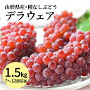 \ただ今、お届け中!/ デラウェア ぶどう 1.5kg 7~12房 L以上 種なし ブドウ 小粒 秀品 クール便 ギフト お中元 昔ながらのぶどう 冷蔵便