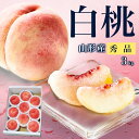 \只今、お届け中!/ 白桃 3kg 9玉~11玉前後 山形県産 ギフト 桃 もも 秀品 お中元 贈答用 贈り物 プレゼント 産地直送 送料無料 あかつき 川中島 中元 暑中見舞い 内祝 硬い桃 クール便 果物 フルーツ