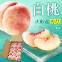 \只今、お届け中!/ 山形県産 白桃 5kg(16玉~18玉前後) 産地直送の桃 贈答用 お中元 暑中見舞い 残暑見舞い 大玉の桃 美味しい桃 お盆 帰省 お彼岸 川中島白桃【同梱不可】【日時指定不可】 送料無料 果物 内祝い フルーツ クール便