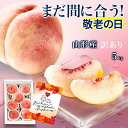 \敬老の日 まだ間に合う!/ 桃 2kg 7玉前後 山形県産 秀品 敬老の日 ギフト 白桃 硬い桃 もも 贈答用 贈り物 プレゼント 産地直送 送料無料 あかつき 川中島 中元 暑中見舞い 内祝 クール便 果物 フルーツ お中元