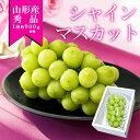 \只今、お届け中!/シャインマスカット 秀品 1房 約900g前後 超特大 ぶどう ギフト 大粒 産地直送 山形県産 山形県から産地直送 種無し 化粧箱入り 同...