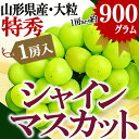 【2018年 9月下旬発送】【送料無料】 山形県産 特秀 大...