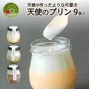 山形人気のスイーツ ギフト 天使のプリン 9個入れ 冷凍 手作り 本格 soraniwa ギフト プレゼント ふわふわ