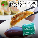 本格餃子 野菜餃子 450g入り (15個入り) ジャンボ餃子 餃子 ぎょうざ ギョウザ ギョーザ 冷凍 国産 生餃子 冷凍生餃子 冷凍食品 惣菜 簡単 にんに...