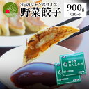 本格餃子 野菜餃子 900g入り (30個入り)ジャンボ餃子 餃子 ぎょうざ ギョウザ ギョーザ 冷凍 国産 生餃子 冷凍生餃子 冷凍食品 惣菜 簡..