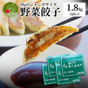 本格餃子 野菜餃子 1.8kg入り (60個入り)ジャンボ餃子 餃子 ぎょうざ ギョウザ ギョーザ 冷凍 国産 生餃子 冷凍生餃子 冷凍食品 惣菜 簡単 にんに...