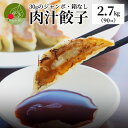 お徳用 本格餃子 肉汁餃子 家庭用 2.7kg(90個入り)ジャンボ餃子 餃子 ギョーザ 冷凍 国産 生餃子 冷凍生餃子 冷凍食品 惣菜 にんにく ニンニク お...