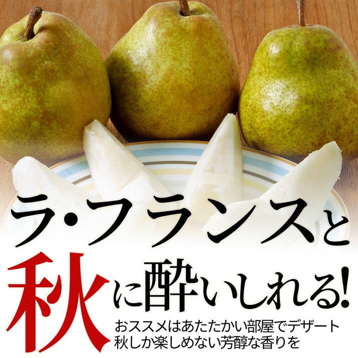 【11月中旬発送・先行予約】 洋梨 ラフランス 秀品 3kg 約7〜11玉入り 贈答用ギフト プレゼント 山形県産 3L 4L大玉 贈答用 生産地限定 数量限定 化粧箱入 誕生日祝い お歳暮 お年賀 送料無料 食べごろ 洋ナシ 洋梨