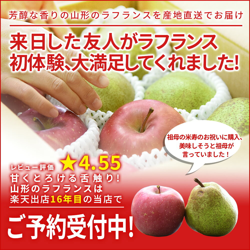 りんご サンふじ ＆ 洋梨 ラフランス 秀品 3kg 約9〜12玉入り 送料無料 福袋 山形県産 フルーツ ギフト プレゼント お得 産地直送 りんご フルーツ 果物 食べごろ 食べ方 お歳暮 お年賀 2026年11月中旬〜発送 先行予約 ryokucyaen-10000884 グルメ&ギフトお取り寄せ山形eLab サンプル画像2