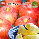 りんご サンふじ 10kg 山形県産 サンふじ 訳ありでは不...