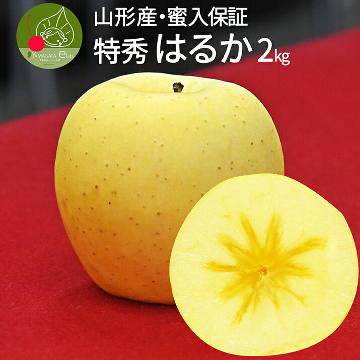 【2024年12月上旬発送 先行早割】 りんご 蜜入り はるか 2kg フルーツ 山形県産 約5～8玉入 贈答用 化粧箱入り ギフ…