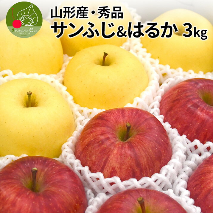 りんご 【2024年12月上旬発送 先行早割】 山形県産 りんご サンふじ ＆ はるかセット 秀品 3kg 約10～12玉入 贈答用 化粧箱入 ギフト箱 お取り寄せ 名産品 蜜入り お年賀 送料無料 アップル 果物 甘い香り 御礼