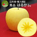 【2025年12月上旬発送 先行予約】 りんご 蜜入り はるか 1kg フルーツ 山形県産 約3~5玉入 贈答用 化粧箱入り ギフト箱 お取り寄せ 名産品 ギフト お年賀 送料無料 アップル 果物 小玉 甘い香り 師走 御礼