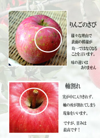 りんご13