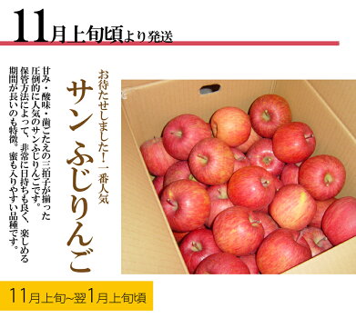 りんご16