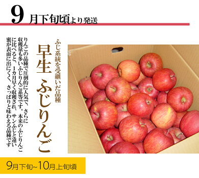 りんご15