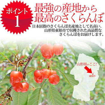 特秀さくらんぼ佐藤錦3